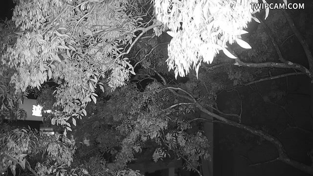 新竹市道路 中央路與中正路(往東門圓環) 距離692公尺