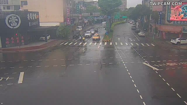桃園市道路 環南路延平路口(延平北向路口前分隔島號誌桿)