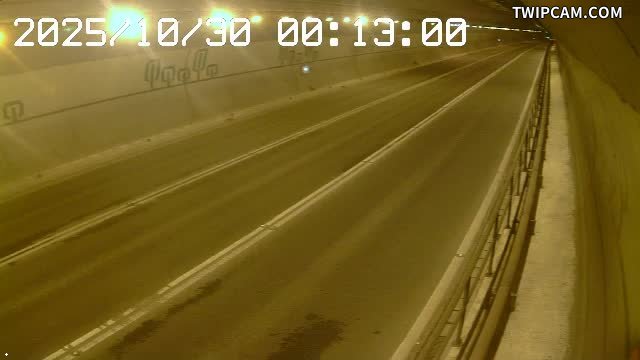 台北市道路 393-文山南向入口 距離807公尺