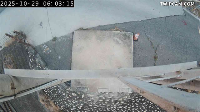 水利署水資源 水利署水利行政組 伸港堤防(0K＋300)_3 距離1.4公里