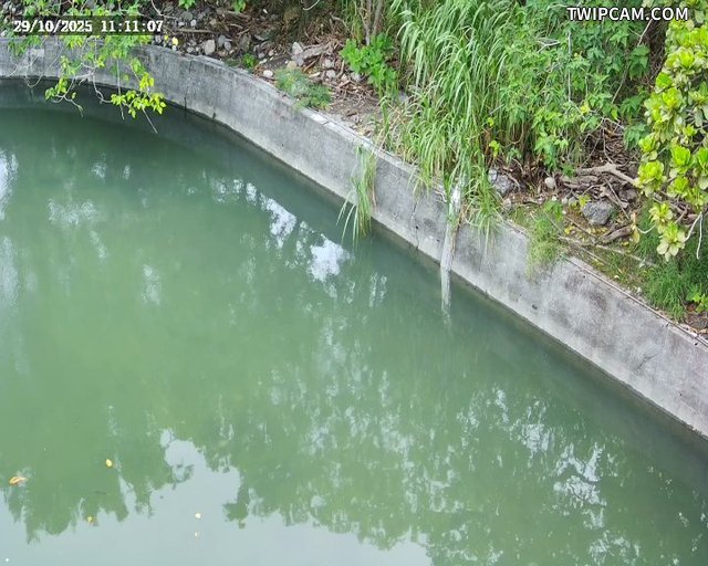 水利署水資源 花蓮縣政府水利科 南濱抽水站1 距離413公尺