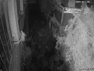 水利署水資源 屏東縣政府水利處 德和橋#2 距離6.9公里