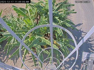 水利署水資源 水利署水利行政組 阿公店溪(2) 氣溫15.9℃