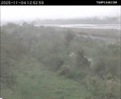 水利署水資源 水利署水利行政組 葫蘆堵橋下游_1 距離1.8公里