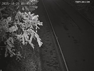 水利署水資源 水利署水利行政組 筏子溪-E中科橋上游右岸_1 距離207公尺