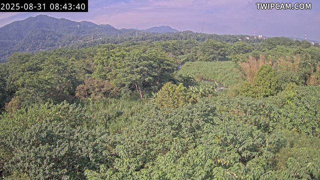 水利署水資源 水利署水利行政組 IP Cam2