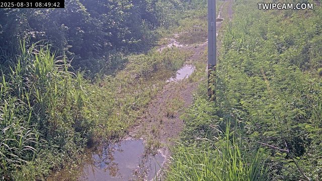 水利署水資源 水利署水利行政組 IP Cam1