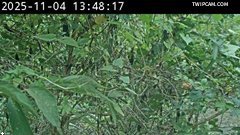 水利署水資源 水利署水利行政組 破布烏堤防_副站 距離1.3公里