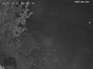 水利署水資源 水利署水利行政組 埤頭堤防_3