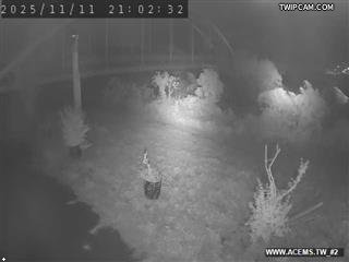 水利署水資源 屏東縣政府水利處 林邊大橋#2 距離884公尺