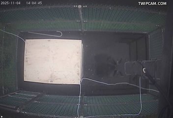 水利署水資源 水利署水利行政組 紅柴林堤防_防盜 距離2.5公里