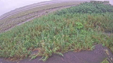 水利署水資源 水利署水利行政組 紅柴林堤防_副站 距離2.5公里