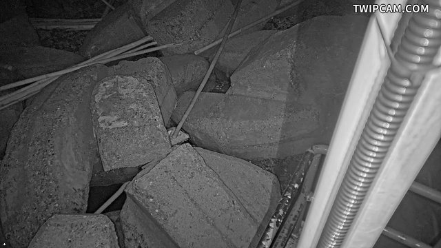 水利署水資源 第五河川分署 台子村堤防 1K+488 外水球機 距離63公尺