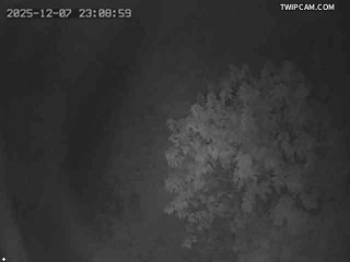 水利署水資源 水利署水利行政組 吳鳳橋下游左岸_3 距離6.3公里