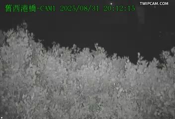 水利署水資源 彰化縣政府水資處 C23-舊西港橋