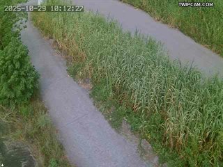 水利署水資源 水利署水利行政組 林尾副站_2 距離1.5公里