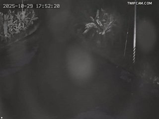 水利署水資源 水利署水利行政組 林尾(3)