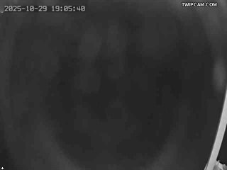 水利署水資源 水利署水利行政組 林尾副站_1