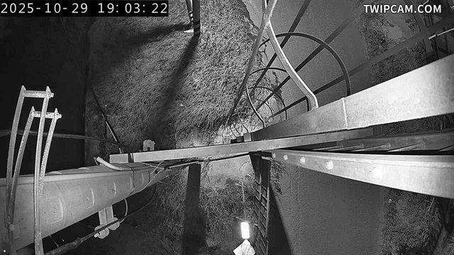 水利署水資源 水利署水利行政組 汴子頭堤防與大肚堤防_3 距離485公尺