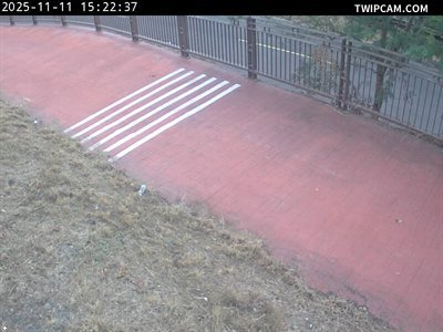 水利署水資源 水利署水利行政組 中投公路橋下游左岸_1 距離2.1公里