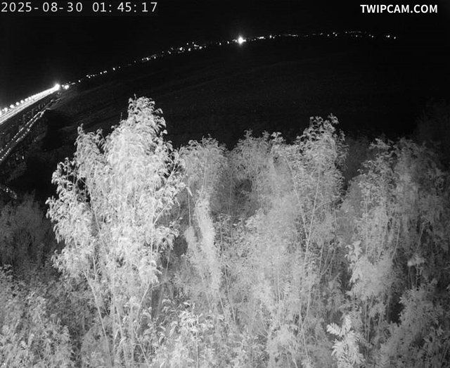 水利署水資源 水利署水利行政組 池上橋1_前方(南)