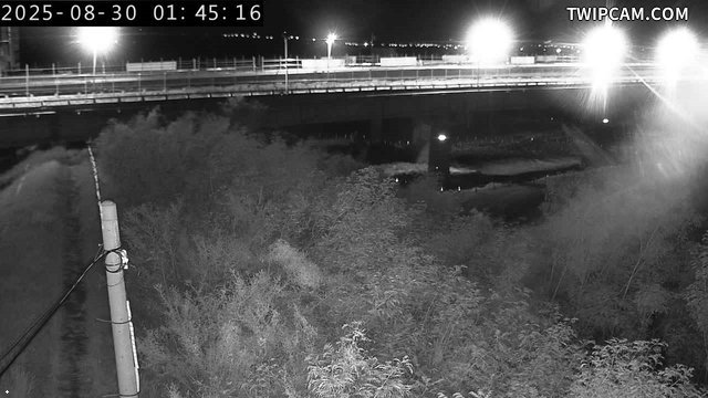 水利署水資源 水利署水利行政組 池上橋1_PTZ