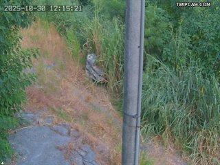 水利署水資源 水利署水利行政組 鎮平堤防_2 距離4.6公里