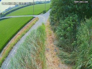 水利署水資源 水利署水利行政組 鎮平堤防_5 距離4.6公里