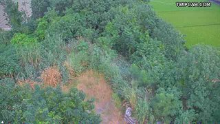 水利署水資源 水利署水利行政組 鎮平堤防_1 距離4.6公里