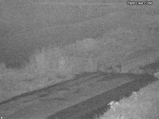 水利署水資源 水利署水利行政組 隘寮堤防_1 距離2.2公里