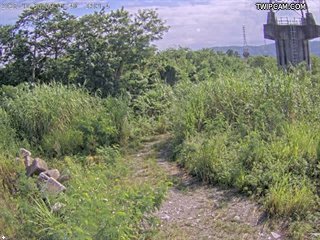 水利署水資源 水利署水利行政組 1號站木瓜溪_CCD4 距離6.5公里