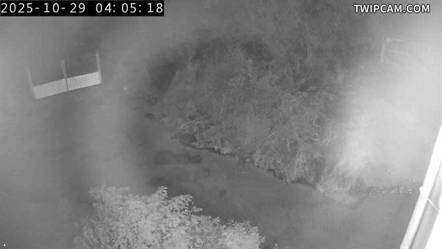 水利署水資源 水利署水利行政組 田中央堤防_S