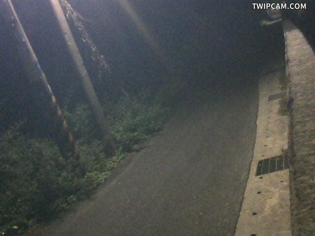 水利署水資源 臺南市政府水利局 仁德區新田里-263992路燈旁 距離1.2公里