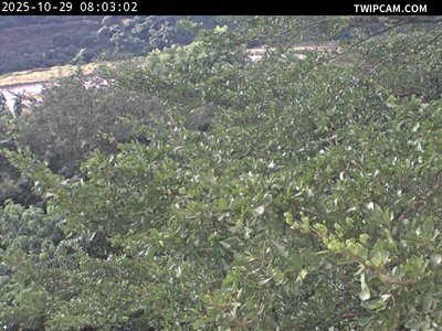 水利署水資源 水利署水利行政組 和平派出所(上游) 距離3.6公里