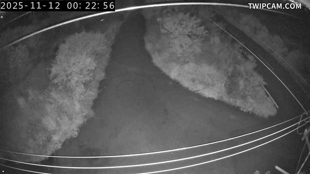 水利署水資源 水利署水利行政組 烏溪橋下游左岸_1 距離1.7公里