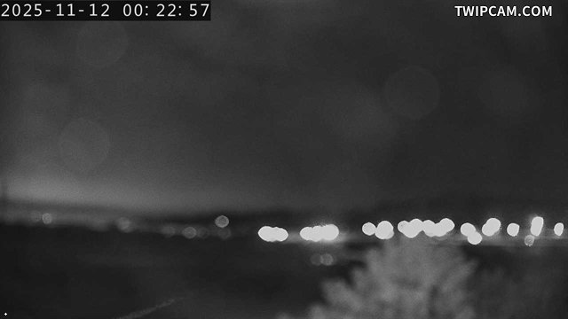 水利署水資源 水利署水利行政組 烏溪橋下游左岸_S 距離1.7公里