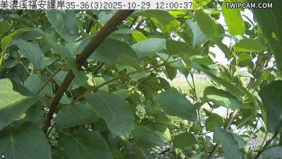 水利署水資源 第七河川分署 美濃溪福安護岸斷面 35～36 (3)