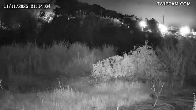 水利署水資源 第四河川分署 鹿谷清水護岸