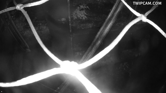 水利署水資源 第二河川分署 中港溪談文湖一號堤防 1K+305 監視器(內水) 距離2.5公里