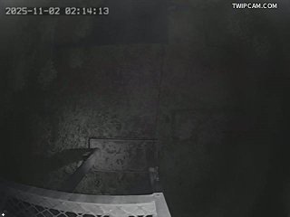 水利署水資源 水利署水利行政組 滯洪區入口(4) 距離1.5公里