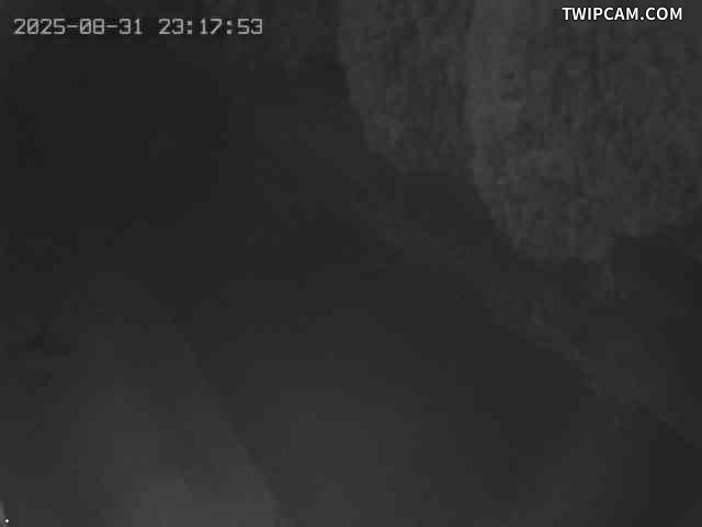 水利署水資源 水利署水利行政組 社子堤防169號越堤路_2