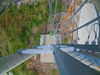 水利署水資源 水利署水利行政組 國道一號橋右岸越堤路_3 距離1.4公里