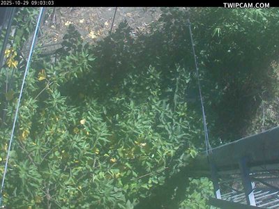 水利署水資源 水利署水利行政組 13K疏濬便道出入口(下方) 距離3.6公里