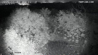 水利署水資源 水利署水利行政組 滯洪區出口(1) 距離1.5公里