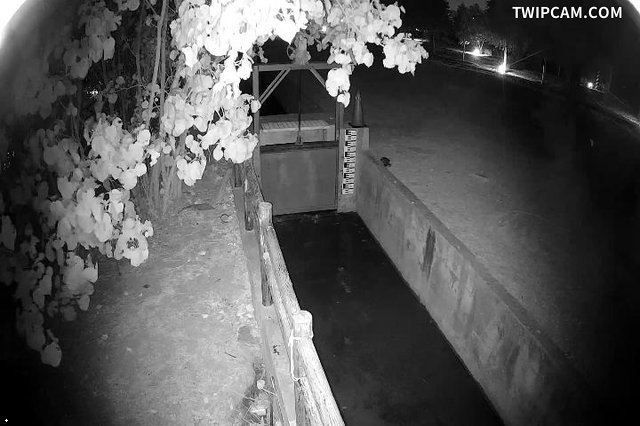 水利署水資源 金門縣政府工務處 烈嶼東林海濱公園監視器影像照片 距離3.0公里