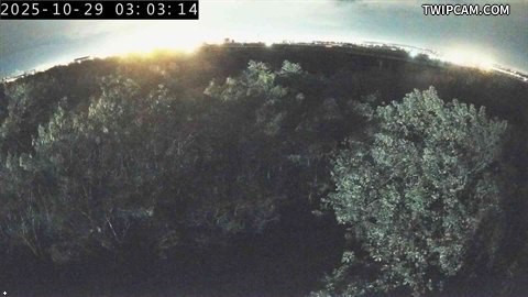 水利署水資源 水利署水利行政組 舊社堤防_S 距離1.9公里