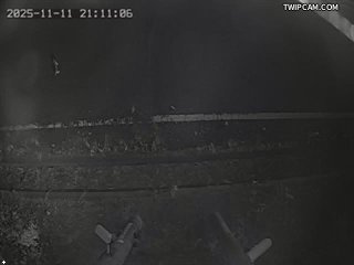 水利署水資源 水利署水利行政組 全仔社(4) 距離2.8公里