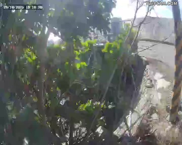 水利署水資源 第四河川分署 26號水門(內水) 距離3.7公里