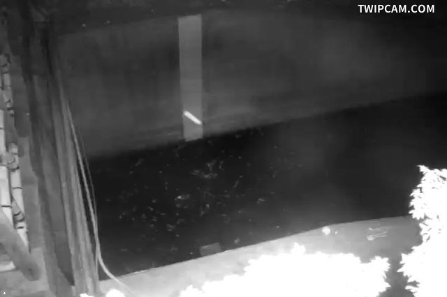 水利署水資源 金門縣政府工務處 金沙堤北下游監視器影像照片