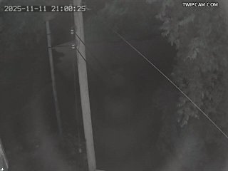 水利署水資源 水利署水利行政組 鯉魚橋(3)